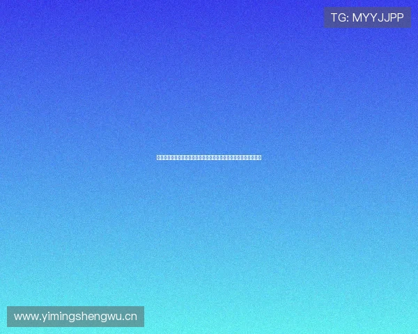 黑白体育直播网打造高清稳定多赛事实时观看新体验全平台专业服务 黑白体育直播网打造高清稳定多赛事实时观看新体验全平台专业服务