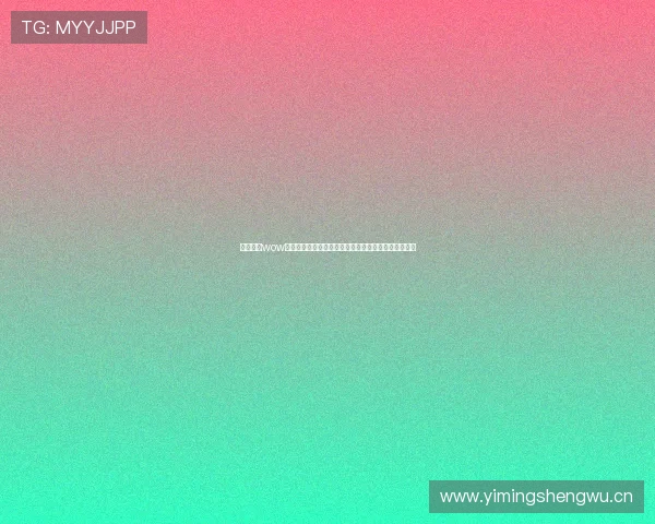 围绕大脚wow插件生态的全面解析与玩家成长指南探索深度分享解析