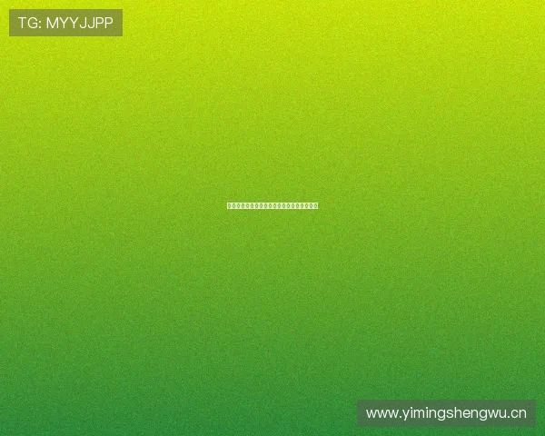 曼联正式签约球员，开启新赛季阵容重建篇章